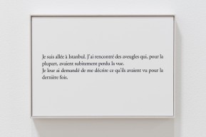 Sophie CALLE // La dernière image // 2010