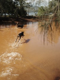 Sébastien Arrighi, <em>Prony,</em> 2025