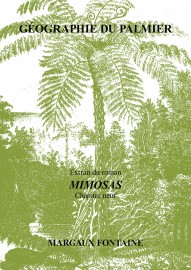 Margaux Fontaine, Géographie du palmier (chapitre neuf), extrait du roman 