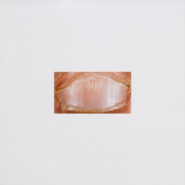 Patrick TOSANI, <em>Ongle n°15</em>, 1990