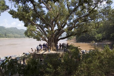 JUN NGUYEN-HATSUSHIBA, The Ground, the Root, and the Air: The Passing of the Bodhi Tree, capture d’écran, 2004-2007. Courtesy de l’artiste, ‘The Quiet in the Land’, Laos & Mizuma Gallery, Tokyo. © Jun Nguyen-Hatsushiba. Photo Yukari Imai