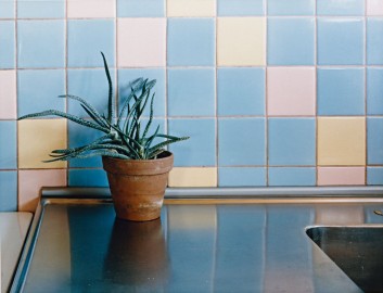 Thomas RUFF, <em>Intérieur à la plante verte</em>, 1985